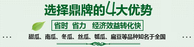 購買蔬菜種子，選擇鼎牌的四大優(yōu)勢