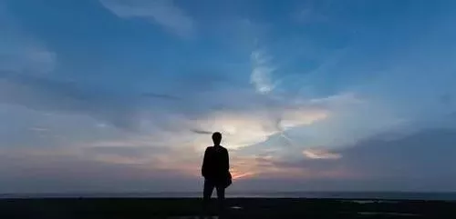 雇工難、成本高，想種甜瓜怎么辦？