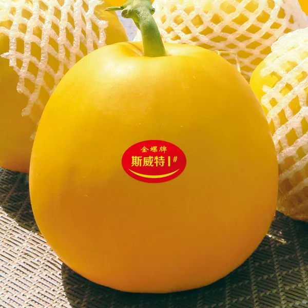 薄皮甜瓜，哪個(gè)品種最好呢？畝產(chǎn)高達(dá)10萬，附4種市場爆款品種