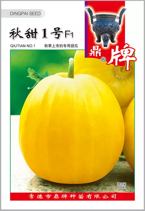 高溫季節(jié)種植甜瓜，什么品種最好？這個(gè)品種是秋季上市的專用品種