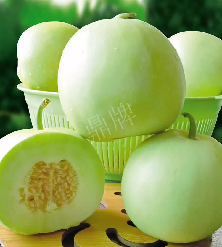 7元一斤還遭瘋搶，畝收益超2萬(wàn)元！到底什么甜瓜能這么牛？