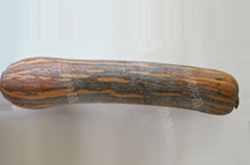 知道最甜最面的南瓜品種嗎？盤點(diǎn)十種有營(yíng)養(yǎng)的甜面南瓜...