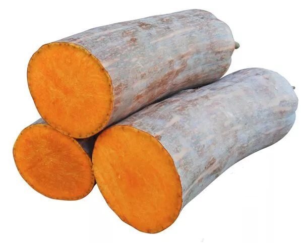 生吃都好吃南瓜新品種，沒有大肚子，肉質(zhì)更密致，農(nóng)戶試種下