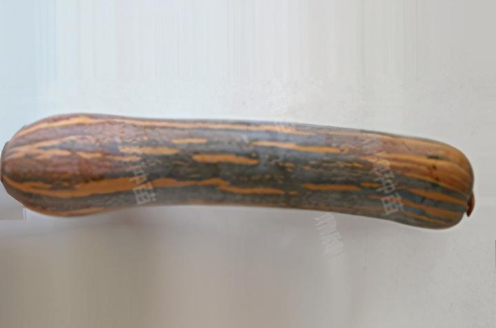 2020年，市面上的南瓜品種哪個(gè)口感最好、最甜、最值得種植？