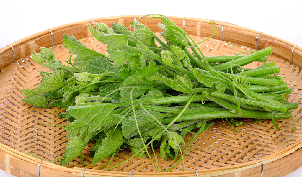 種這種綠葉菜，栽培輕松，畝產(chǎn)值過萬元，菜農(nóng)表示很劃算