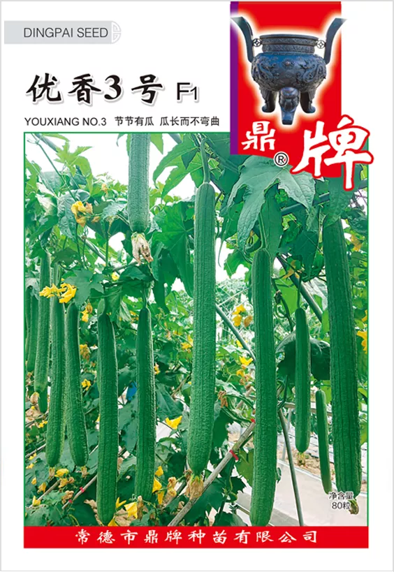 它是絲瓜種植戶的新選擇，節(jié)節(jié)有瓜，瓜長而不彎曲