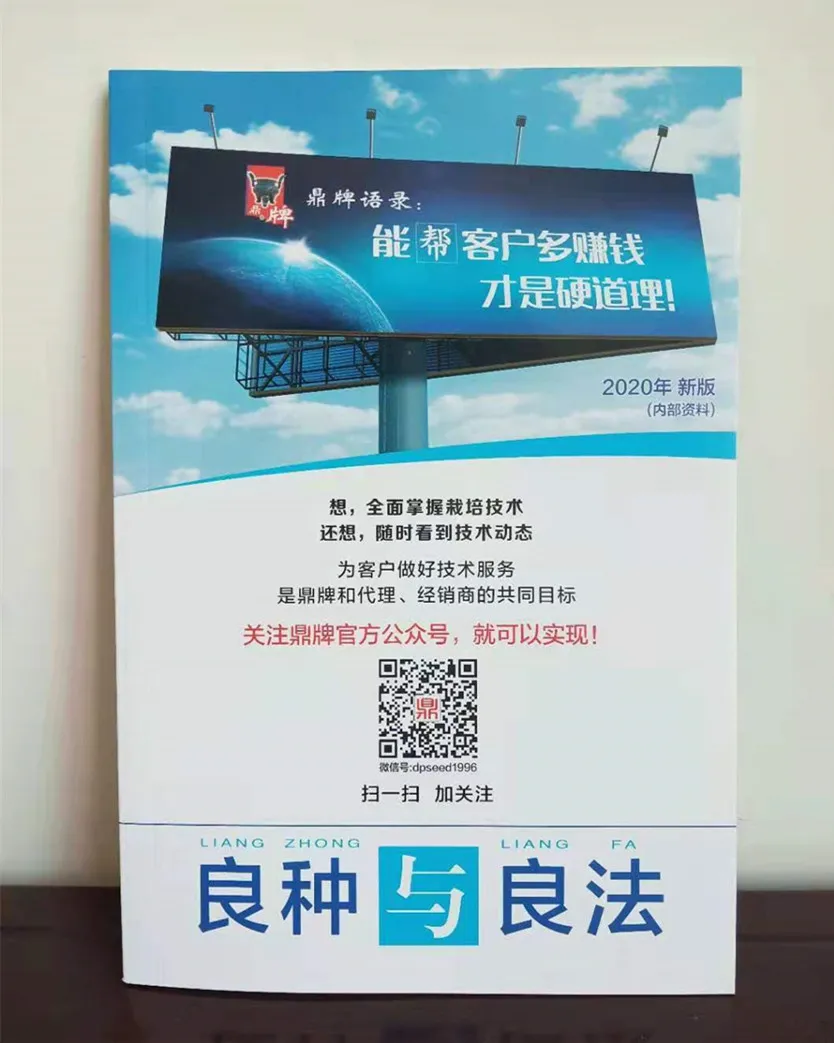 河南焦作的李向林今年種植甜瓜新品種，客戶直接拉貨走人