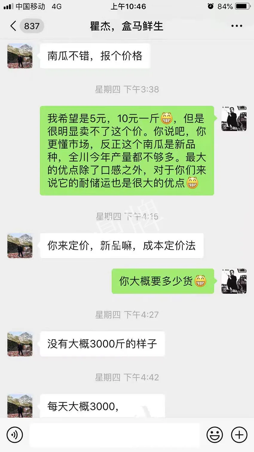 四川農(nóng)戶今年種“健美蜜本”南瓜產(chǎn)量高，品質(zhì)好，感覺(jué)巴適得很