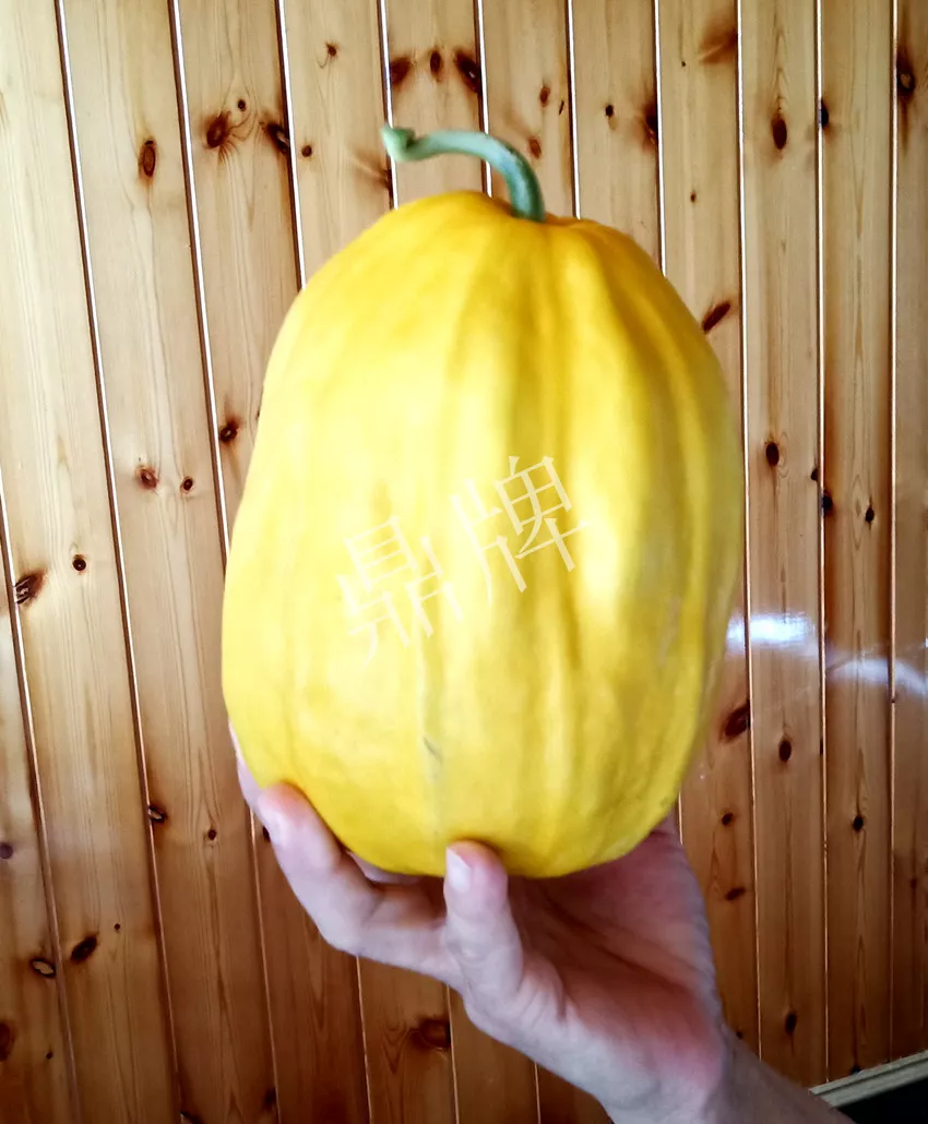 婁底瓜農(nóng)純賺50萬，我這個(gè)“張大膽”榮光了一把