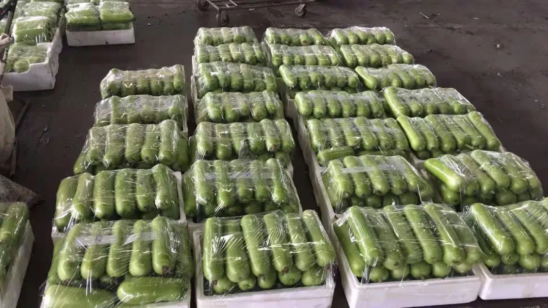 這個(gè)品種上市早，價(jià)格好！我連續(xù)種了三年，滿意