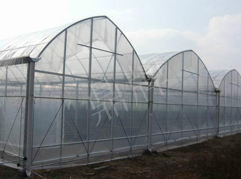 蔬菜種子種植戶客戶點評-鼎牌瓠瓜上市早，地頭批發(fā)價達到8元/斤，種植基地王老板告訴您！