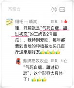 蔬菜種子種植戶客戶點評-“氣死白糖，甜過初戀”，您知道或體驗過這句話嗎